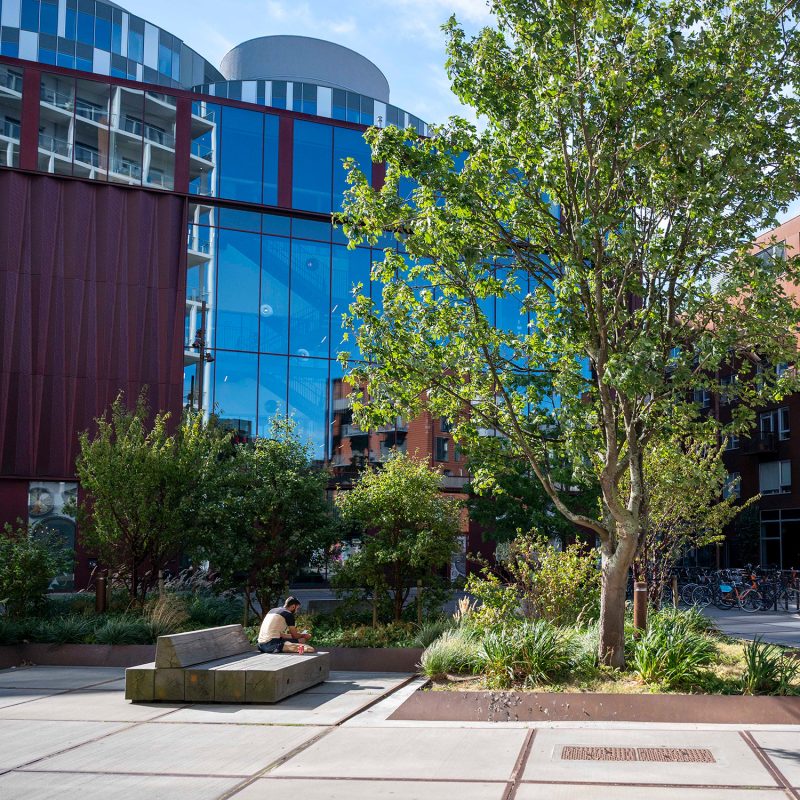 Photo of tiles, benches, and trees at Hamborg Plads