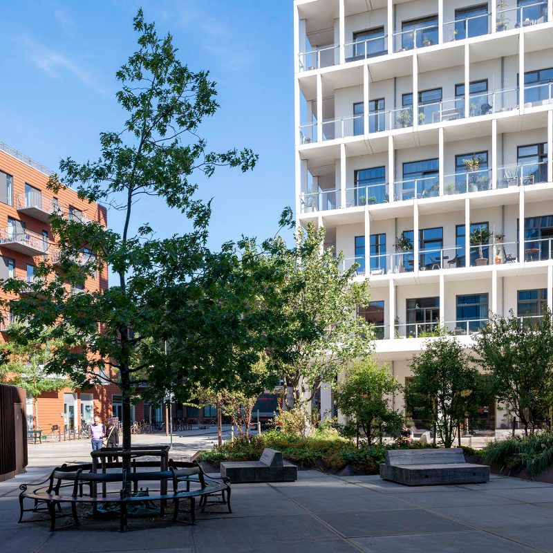 Photo of benches, trees, and buildings at Hamborg Plads