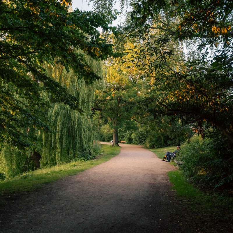Sti og træer i Kildevældsparken