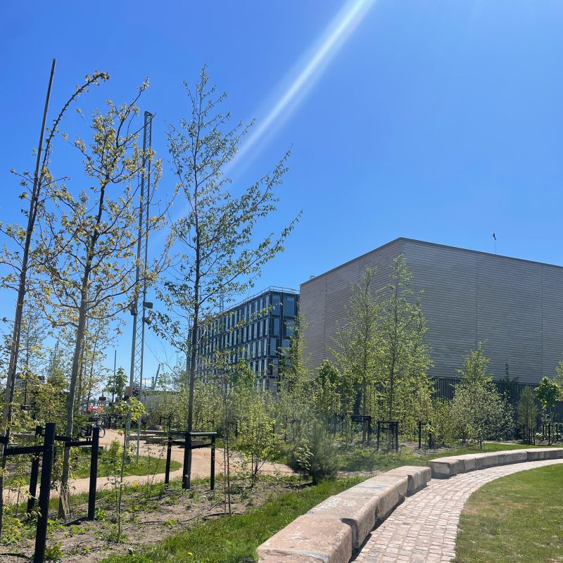 The Crane Park and the Open Sky