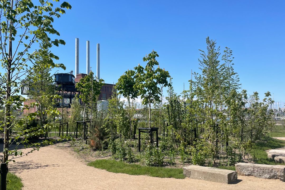 Kranparken